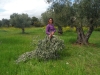 140409_nvpost1