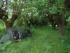 140602_nvpost10