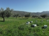 140325_nvpost18
