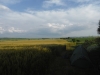 140610_nvpost2