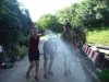 140722_nvpost6