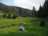 140526_nvpost14