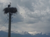 140526_nvpost5