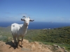 140427_nvpost19