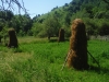 140618_nvpost18